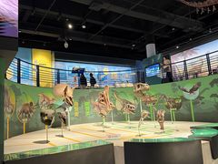 -国家自然博物馆