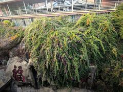 -漳州云洞岩风景区-瑞竹岩