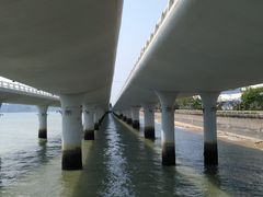 -演武大桥观景平台