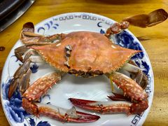 -九层海鲜塔(市南店)