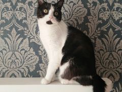 -诚·鳗屋(星摩尔店)