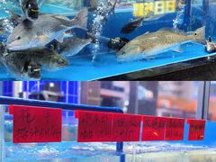 -明本湛江鸡•海鲜小厨(陈家祠店)