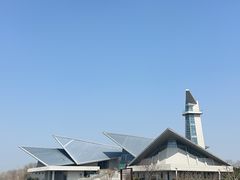 -盐城丹顶鹤湿地生态旅游区
