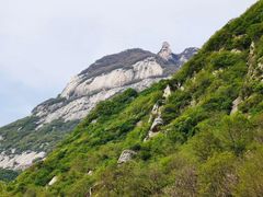 -秦岭风景区