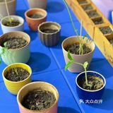 中秋遛娃好去处！十万个为什么科学艺术展览打卡