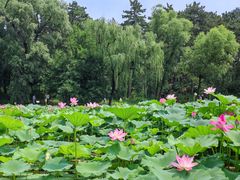 -承德避暑山庄景区