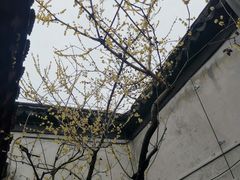 -黎里古镇