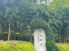 -十八棵（老龙井）御茶园(老龙井店)
