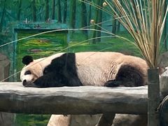 -灵玲国际马戏城