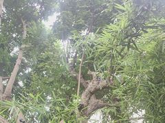 -湖南别院·美学庭院餐厅(惠阳店)