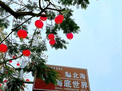 -北海海底世界