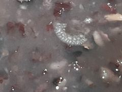 -庆丰包子铺(大屯路店)