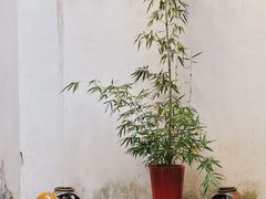 -月栖华明-云间草堂清茶馆(泗泾古镇店)