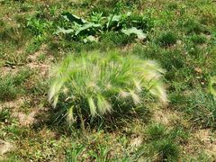 -长春市南湖公园