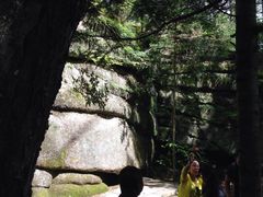 -汤旺河林海奇石景区