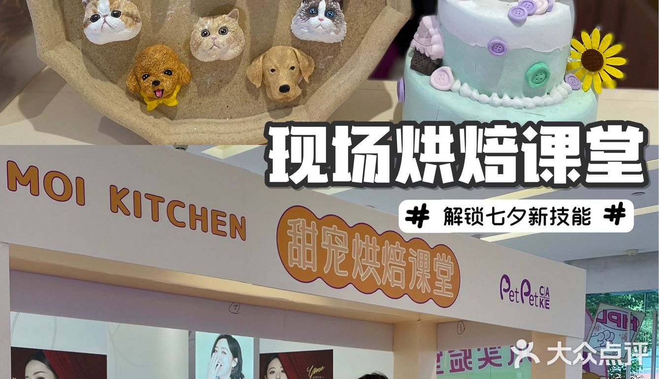 茂业百货萌宠无限丨ta们陪你过