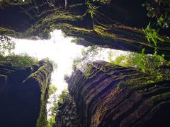 -梭布垭石林景区