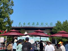 -黄海国家森林公园