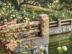 -海珠湖公园