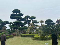 -南宁南湖公园
