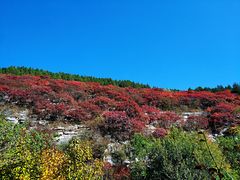 -龙洞风景区-藏龙涧