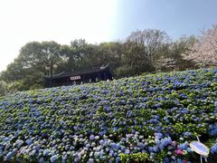 -苏州上方山国家森林公园