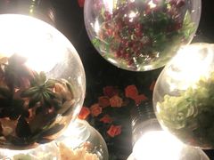 -胡桃里音乐餐厅(陶溪川店)(川湘赣菜·世界百大酒庄直供红酒·音乐表演)
