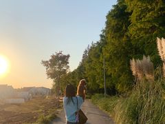 -上海长兴岛郊野公园