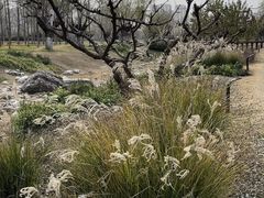 -汉长安城未央宫国家考古遗址公园