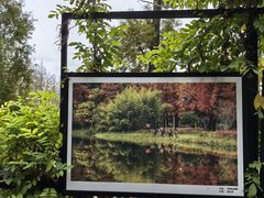 -黄海国家森林公园