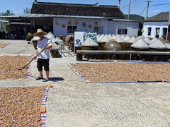 -苏州市吴中区光福窑上花果蜜饯厂