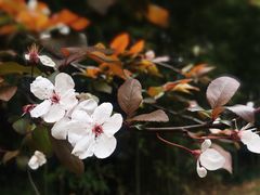 -苏州河梦清园环保主题公园