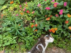 -前小桔亲子创意农场·草莓采摘·露营烧烤