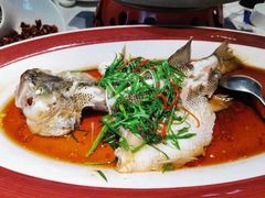 -院里寻菜·精致庭院菜(观沙岭店)