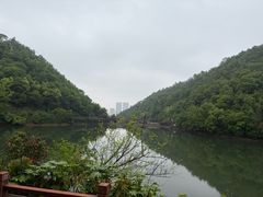 -桃花岭景区