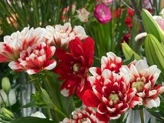 -森野花艺培训·企业团建活动沙龙