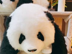 -轩客会(熊猫书店)