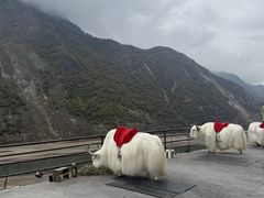 -叠溪松坪沟景区