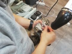 -PETKIT小佩宠物(古北店)