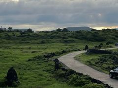 -涉地可支