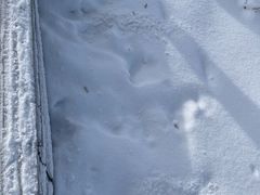 -长白山华美胜地滑雪场