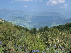 -白草畔自然风景区