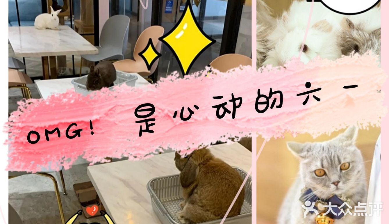 OMG！是心动的六一！