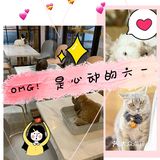 OMG！是心动的六一！