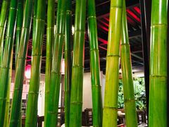 -竹叶涮肉坊(总店)
