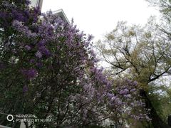 -哈尔滨商业大学(南校区)