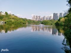 -重庆彩云湖湿地公园