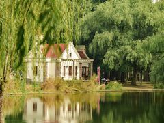 -上海共青森林公园