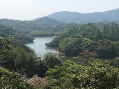 -天鹿湖森林公园