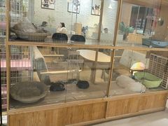 -藏猫猫咖啡主题馆(中央大道店)